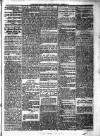 Portadown News Saturday 20 April 1889 Page 5