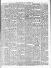 Portadown News Saturday 01 September 1894 Page 7