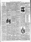 Portadown News Saturday 22 September 1894 Page 3