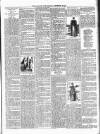 Portadown News Saturday 29 September 1894 Page 3