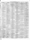 Portadown News Saturday 12 July 1902 Page 7