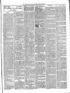 Portadown News Saturday 24 January 1903 Page 7
