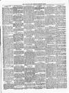 Portadown News Saturday 25 February 1905 Page 3