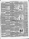 Portadown News Saturday 11 March 1905 Page 7