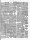Ulster Examiner and Northern Star Saturday 15 May 1869 Page 3