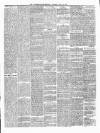 Ulster Examiner and Northern Star Saturday 23 April 1870 Page 3