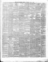 Ulster Examiner and Northern Star Saturday 14 July 1877 Page 3