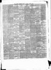 Ulster Examiner and Northern Star Saturday 02 March 1878 Page 3