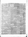 Ulster Examiner and Northern Star Tuesday 30 April 1878 Page 3