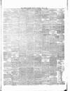 Ulster Examiner and Northern Star Thursday 02 May 1878 Page 3
