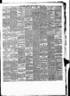 Ulster Examiner and Northern Star Tuesday 07 May 1878 Page 3