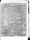 Ulster Examiner and Northern Star Saturday 15 June 1878 Page 3