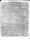 Ulster Examiner and Northern Star Thursday 15 August 1878 Page 3
