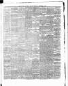 Ulster Examiner and Northern Star Thursday 05 September 1878 Page 3