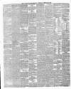 Ulster Examiner and Northern Star Thursday 19 February 1880 Page 4