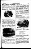 Fishing Gazette Saturday 01 November 1879 Page 5