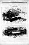 Fishing Gazette Saturday 04 August 1883 Page 16