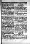 Fishing Gazette Saturday 09 January 1886 Page 11