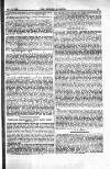 Fishing Gazette Saturday 13 February 1886 Page 5