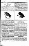 Fishing Gazette Saturday 22 October 1887 Page 7