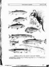Fishing Gazette Saturday 20 February 1892 Page 26