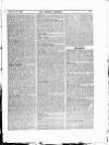 Fishing Gazette Saturday 20 February 1892 Page 29