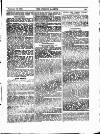 Fishing Gazette Saturday 16 February 1895 Page 13