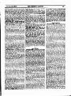 Fishing Gazette Saturday 19 October 1895 Page 13