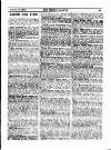 Fishing Gazette Saturday 19 October 1895 Page 15