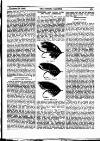 Fishing Gazette Saturday 14 December 1895 Page 7