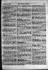 Fishing Gazette Saturday 11 February 1899 Page 19