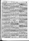 Fishing Gazette Saturday 30 September 1899 Page 13