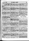 Fishing Gazette Saturday 30 September 1899 Page 19