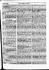 Fishing Gazette Saturday 07 July 1900 Page 15