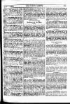 Fishing Gazette Saturday 11 August 1900 Page 19