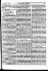 Fishing Gazette Saturday 01 September 1900 Page 25