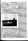 Fishing Gazette Saturday 22 September 1900 Page 9