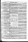 Fishing Gazette Saturday 03 November 1900 Page 11
