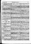 Fishing Gazette Saturday 01 December 1900 Page 15