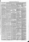 People's Advocate and Monaghan, Fermanagh, and Tyrone News Saturday 06 May 1876 Page 5