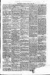 People's Advocate and Monaghan, Fermanagh, and Tyrone News Saturday 03 June 1876 Page 5