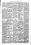 People's Advocate and Monaghan, Fermanagh, and Tyrone News Saturday 17 June 1876 Page 5