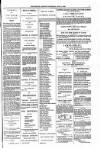 People's Advocate and Monaghan, Fermanagh, and Tyrone News Saturday 08 July 1876 Page 7