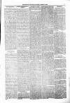 People's Advocate and Monaghan, Fermanagh, and Tyrone News Saturday 12 August 1876 Page 5