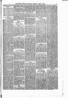 People's Advocate and Monaghan, Fermanagh, and Tyrone News Saturday 13 April 1878 Page 3