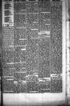 People's Advocate and Monaghan, Fermanagh, and Tyrone News Saturday 03 January 1880 Page 3