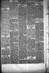 People's Advocate and Monaghan, Fermanagh, and Tyrone News Saturday 03 January 1880 Page 5