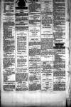 People's Advocate and Monaghan, Fermanagh, and Tyrone News Saturday 03 January 1880 Page 7