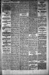 People's Advocate and Monaghan, Fermanagh, and Tyrone News Saturday 12 June 1886 Page 5