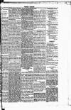 People's Advocate and Monaghan, Fermanagh, and Tyrone News Saturday 26 October 1889 Page 3